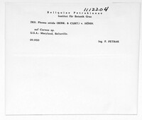 Image Associated With the Occurence